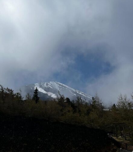 Japan Journey: From Majestic Mountains to Bustling Crossings