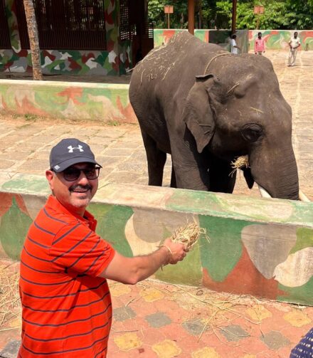 Unforgettable Encounter with Gentle Giants: My Trip to Dubare Elephant Camp