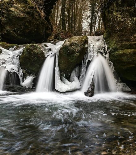 Embarking on an Journey of Serenity: Exploring Abbey Falls, Coorg