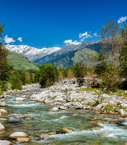 Adventure Awaits in Manali!