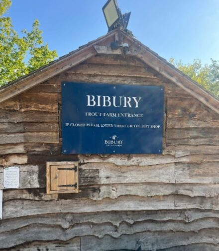 From Bibury’s Beauty to Thames’ Twilight: A Day of English Elegance